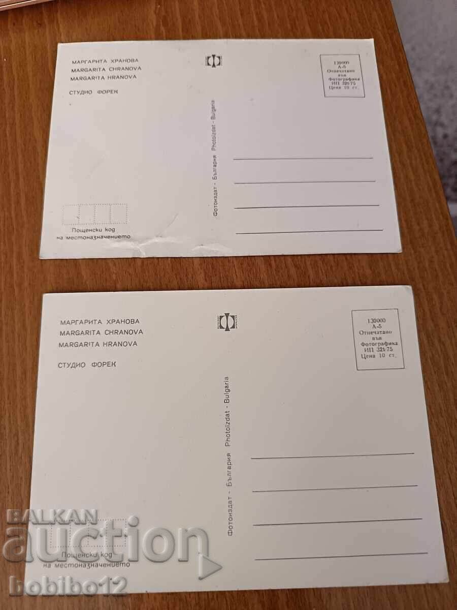 Carte poștală Margarita Hranova plus cadou - 5
