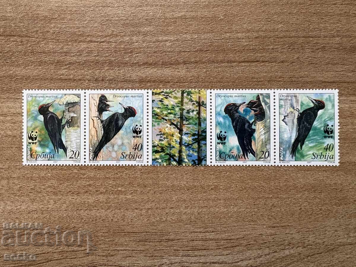 Serbia - Ciocănitoare neagră (2007) MNH