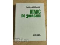 Атлас по зоология - безгръбначни животни / Павел Ангелов