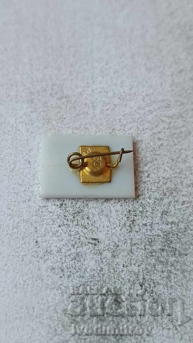 Voroshilovgrad badge with price € 1.06 | 2.07 BGN