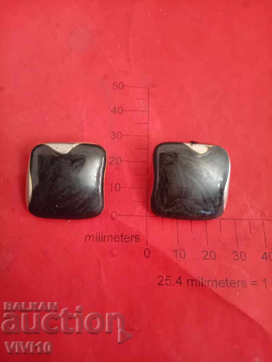 Antique enamel earrings