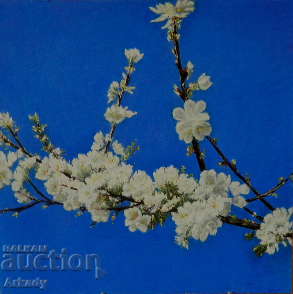 Ramură de floare de cireș