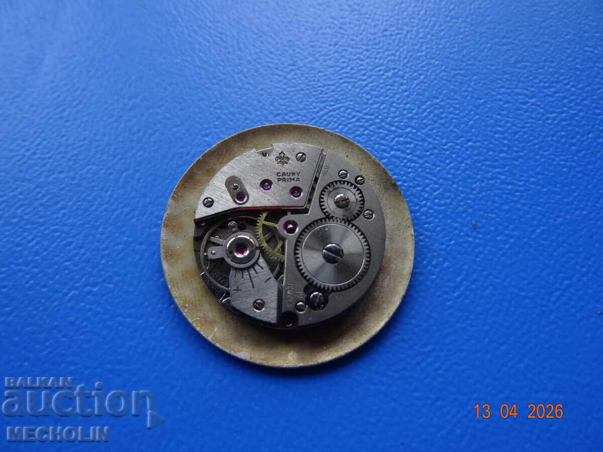 Delivery of SWISS COLLECTIBLE MECHANICAL WATCH CAUNY