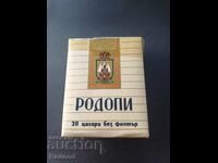 RODOPI