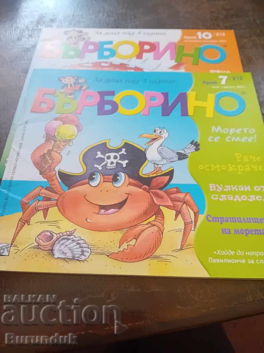 2 bucăți Barborino