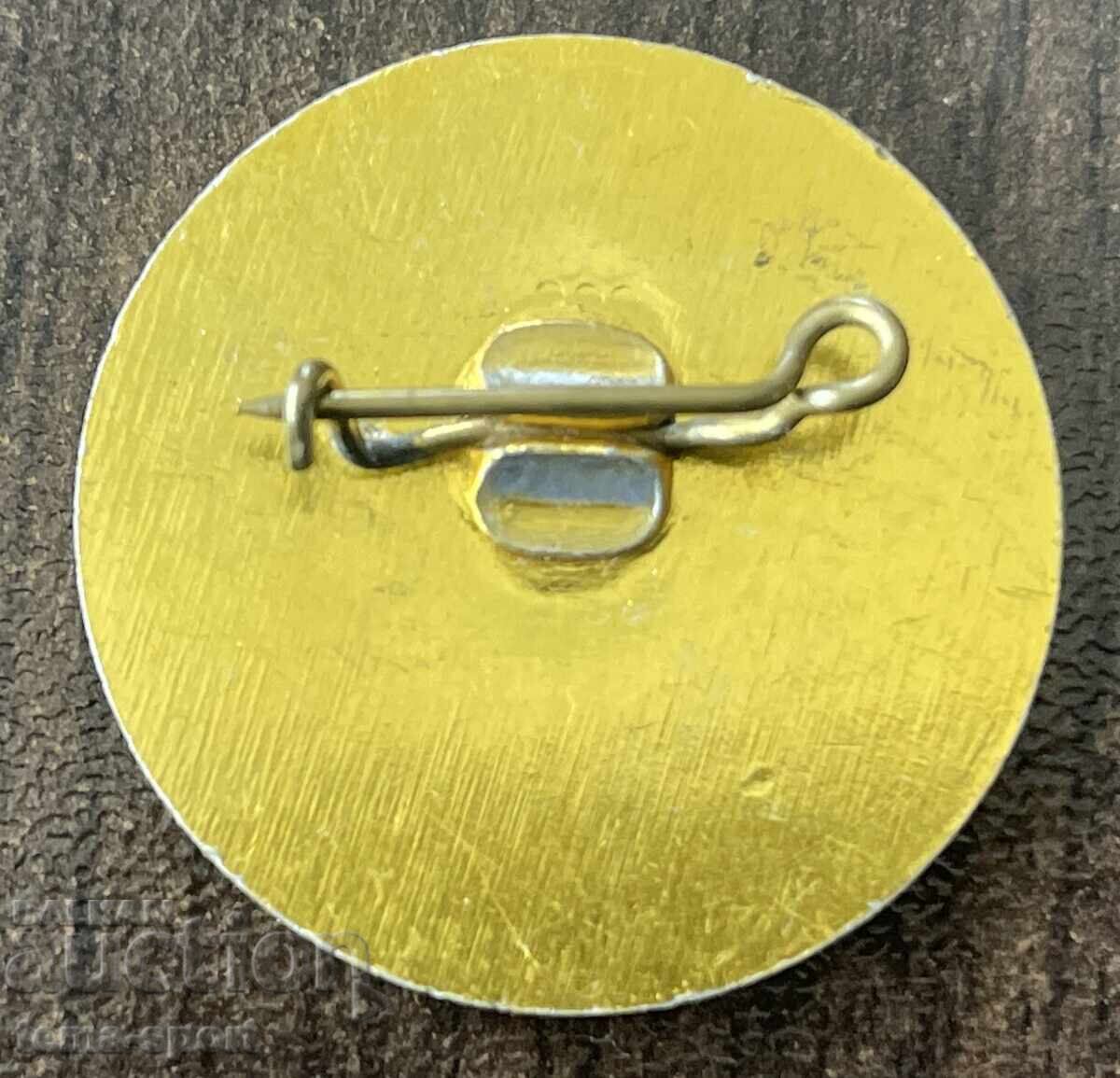 2007 Bulgaria Football Club Debelets badge with price € 4.00 | 7.82 BGN