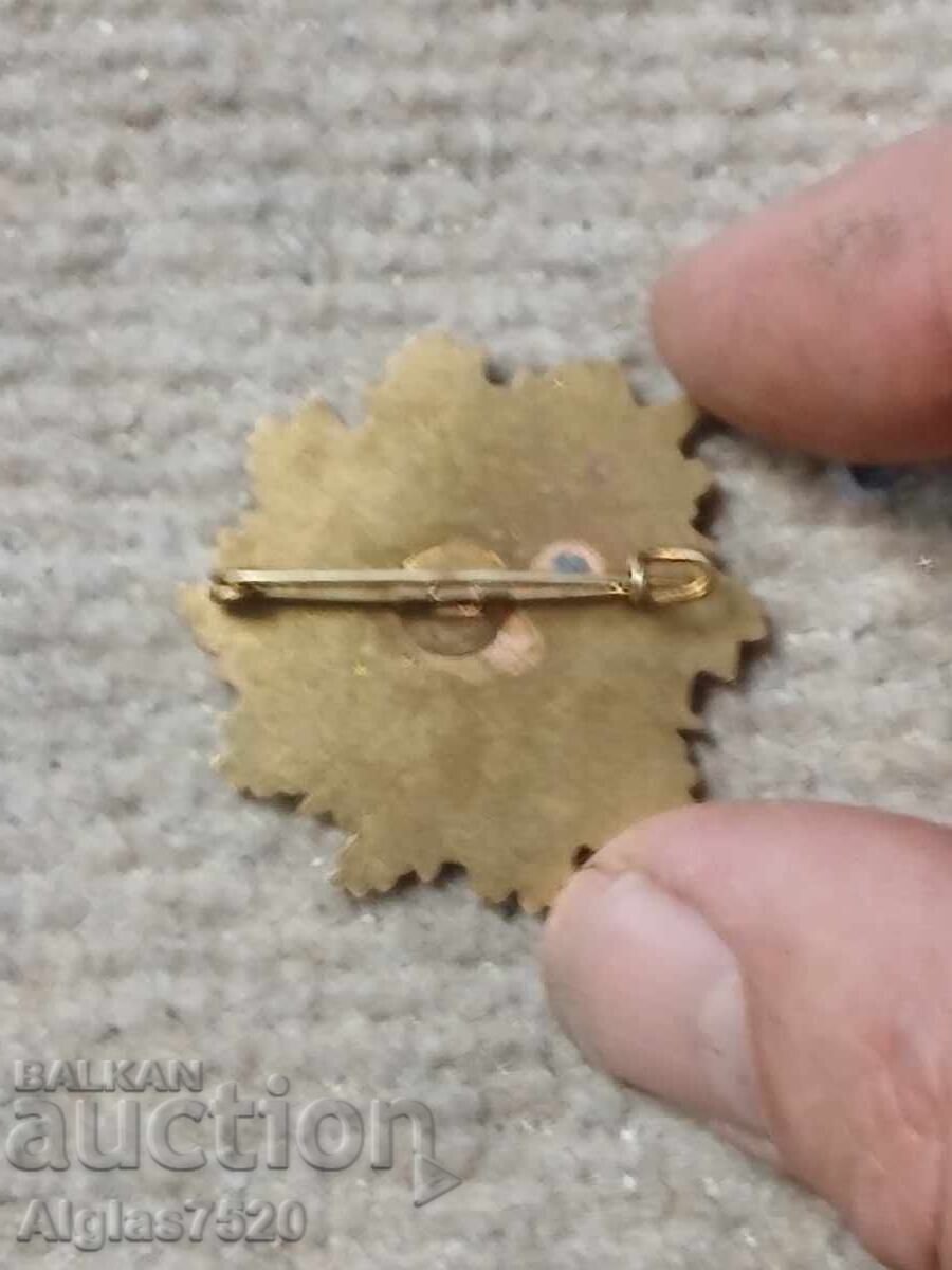 Austrian military badge with price € 22.00 | 43.03 BGN