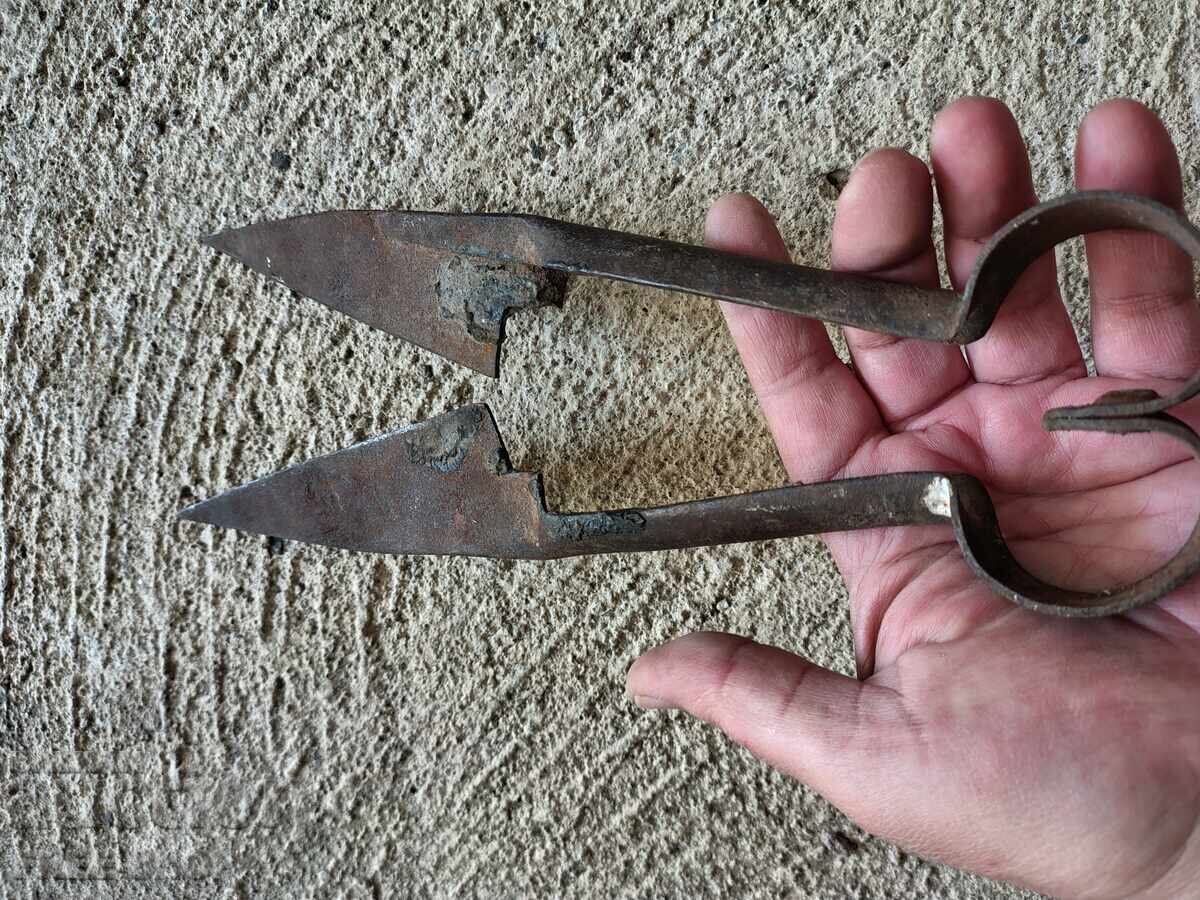 Shears for shearing sheep with price € 3.00 | 5.87 BGN