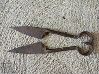 Shears for shearing sheep