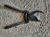 foarfece de viță de vie