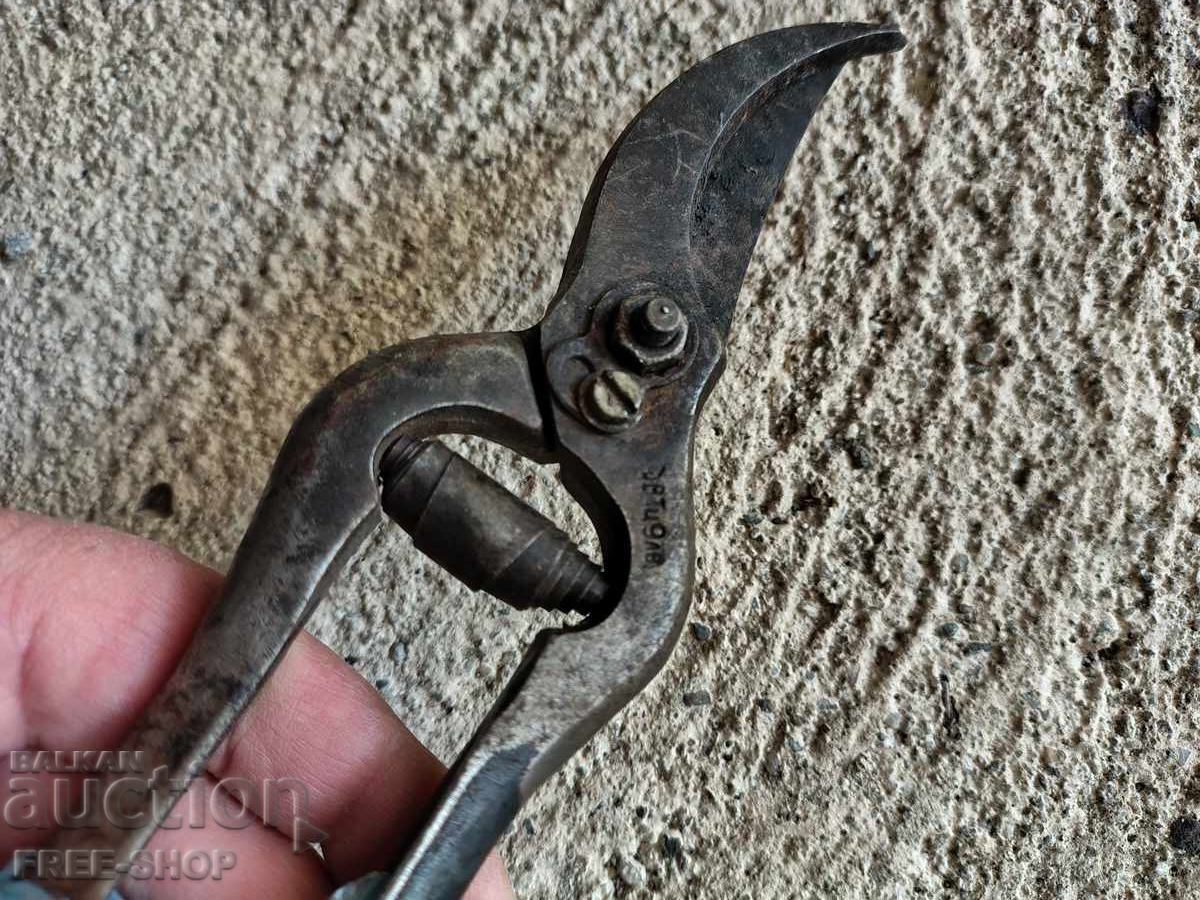 Ψαλίδι αμπέλου