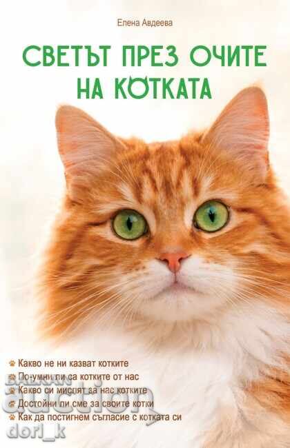 Светът през очите на котката