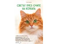 Ο κόσμος μέσα από τα μάτια της γάτας