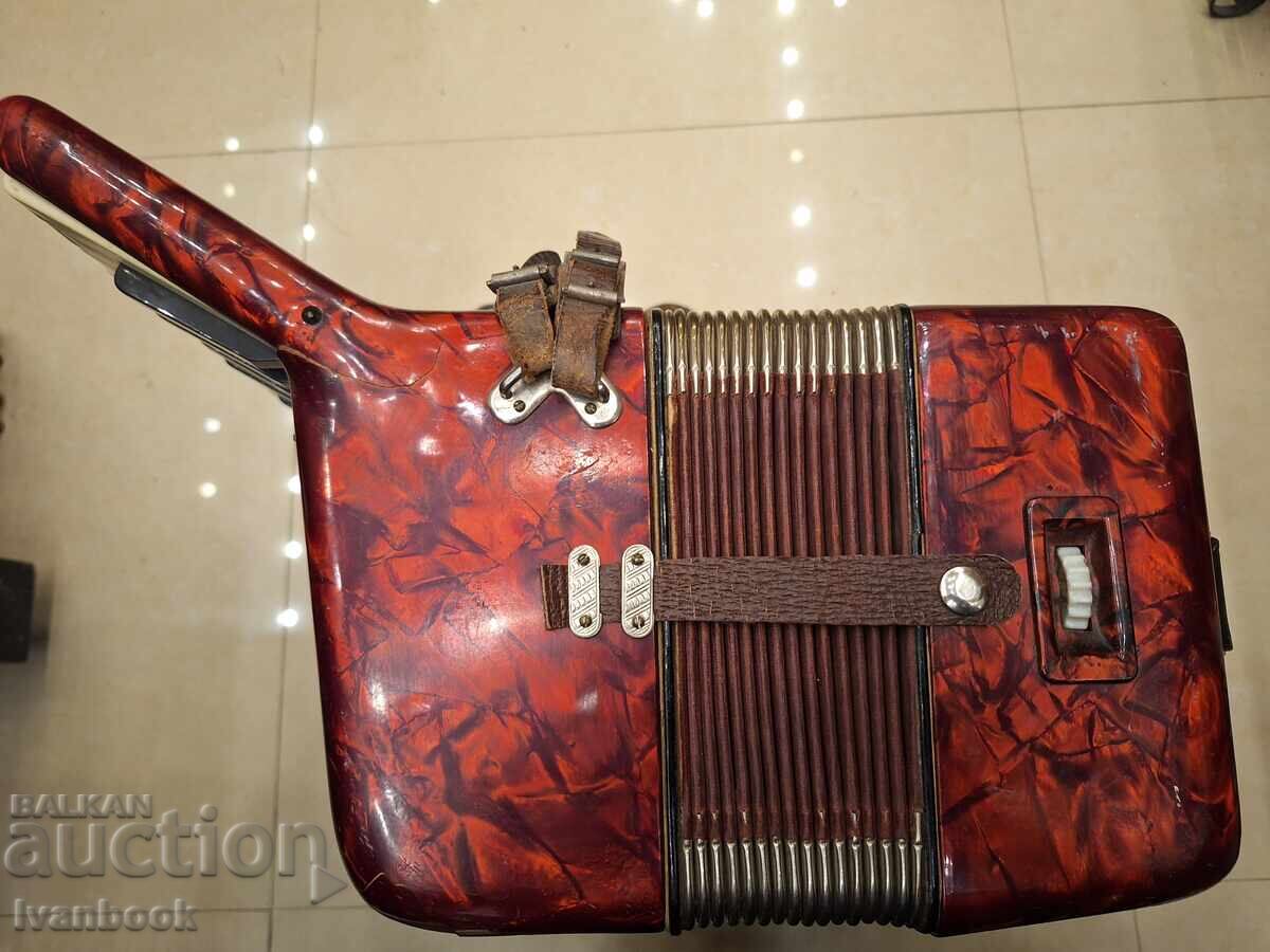 Livrarea Acordeon Weltmeister