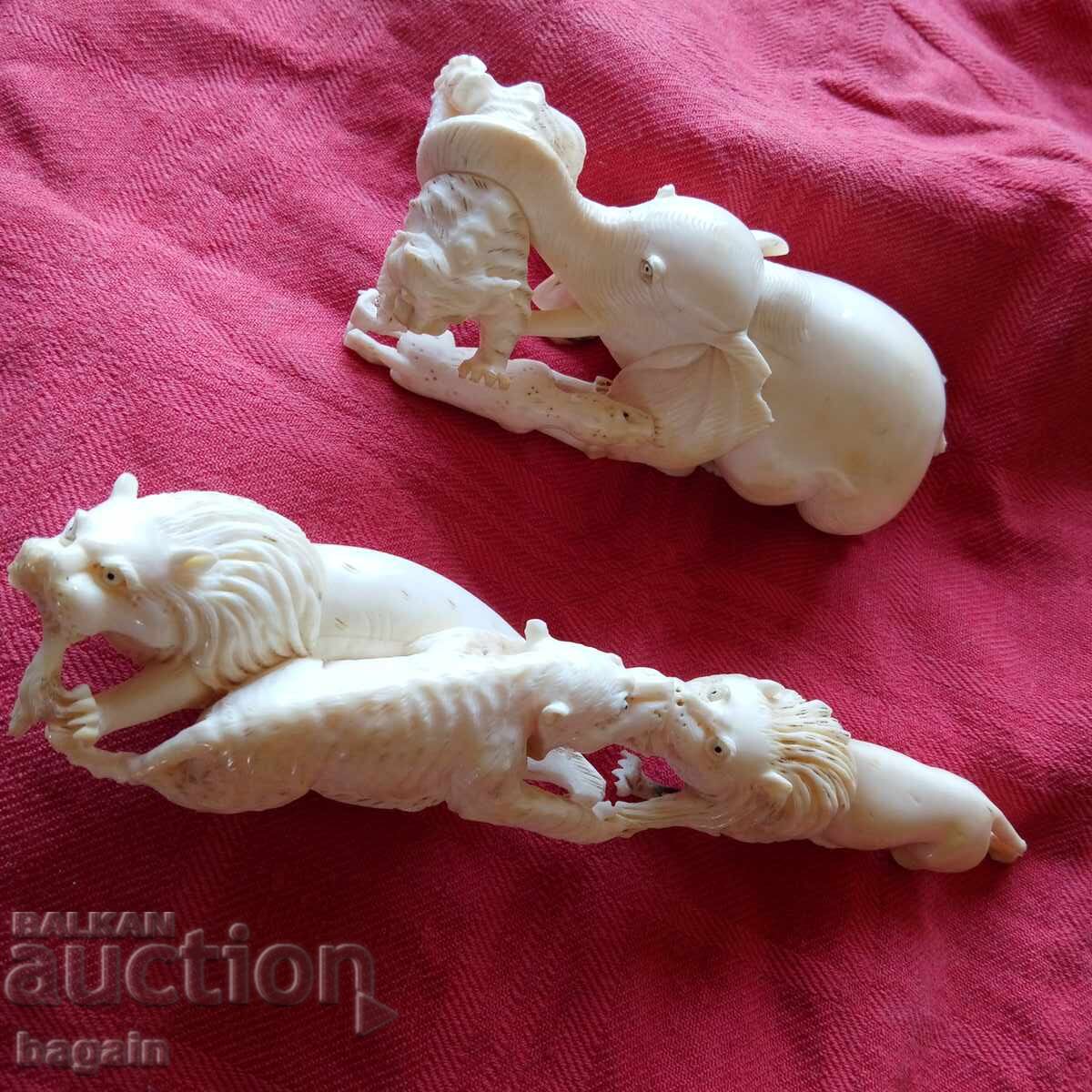 Ελεφαντόδοντο - 5