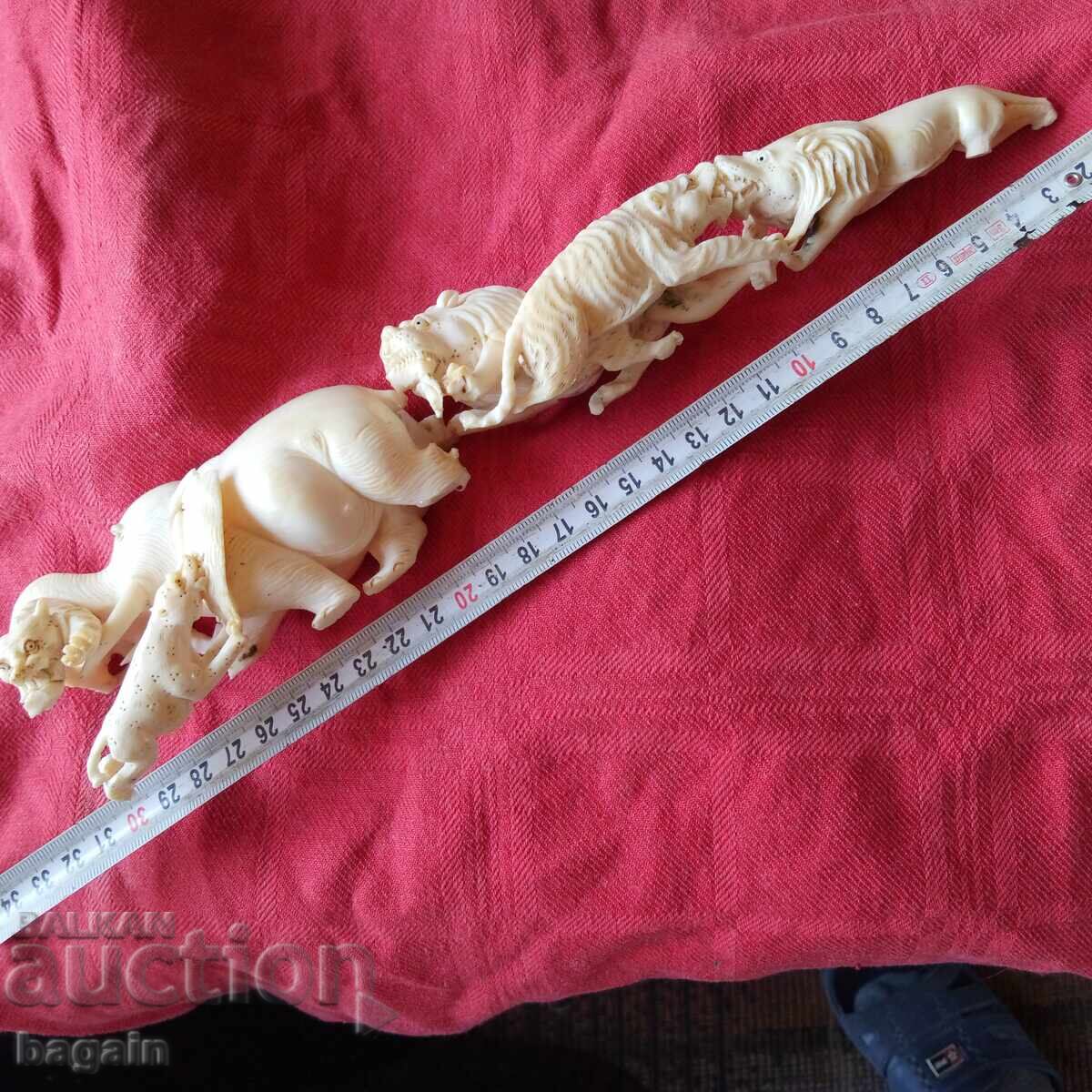 Ελεφαντόδοντο - 6