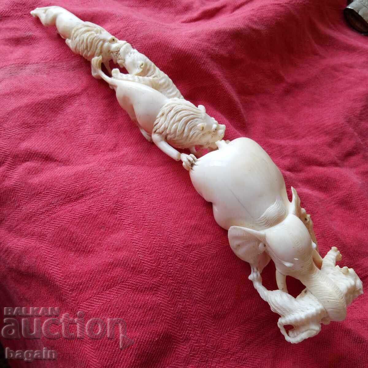 Ελεφαντόδοντο