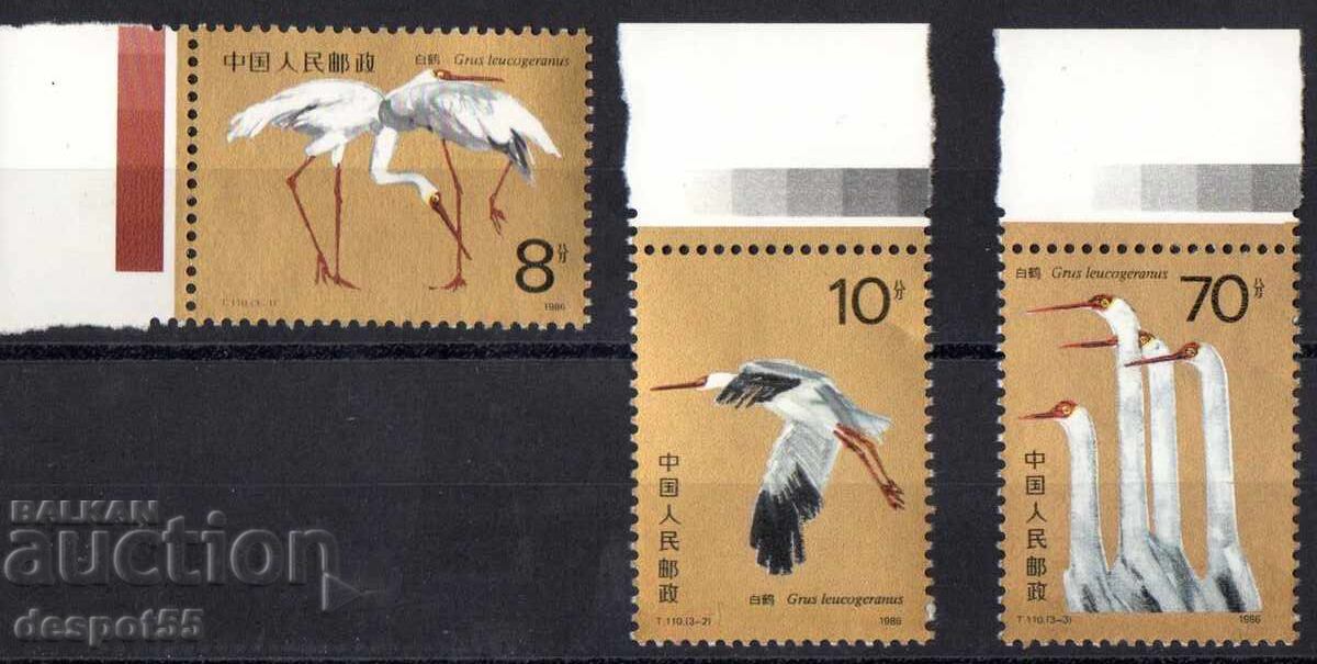 1986. China. Cocor alb mare