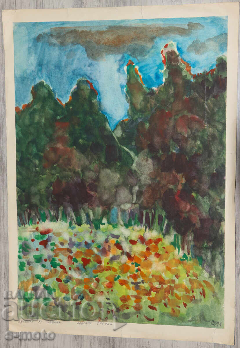 Πίνακας ακουαρέλας τοπίο της Τσβετάνκα Ντασίνα με τιμή € 120.00 | 234.70 BGN