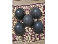 5 bucăți căști militare vechi de la centrul BZC. Pun la licitație peste 100