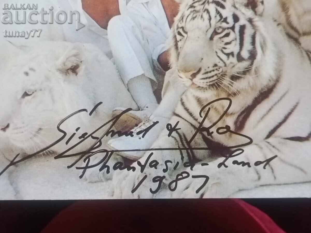 LGBT card with hand-signed GAY magicians Siegfried & Roy with price € 0.01 | 0.02 BGN