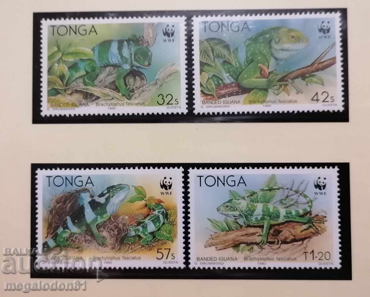 Τόνγκα - WWF, πράσινο ιγκουάνα