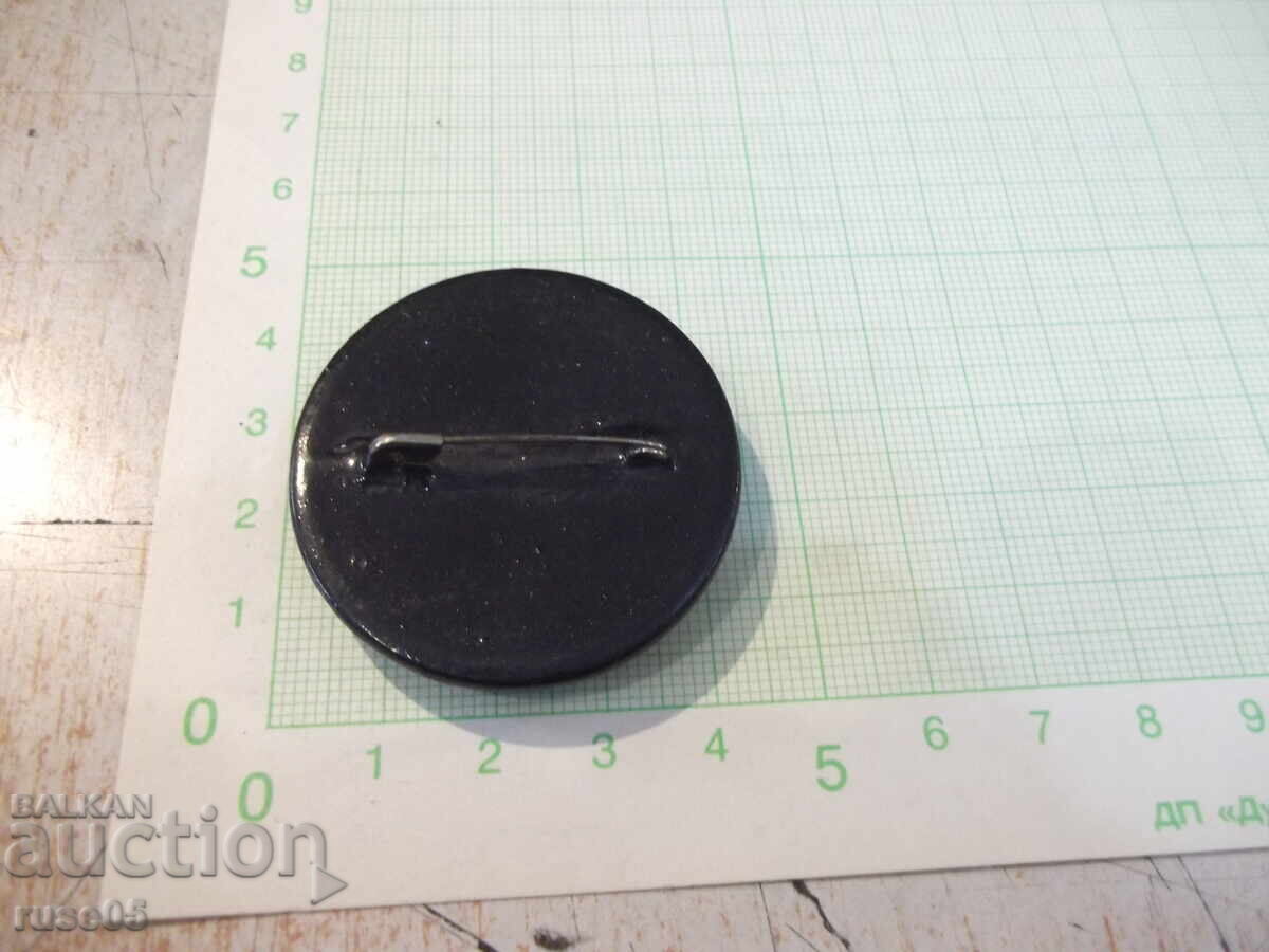 Χειροποίητη ζωγραφιστή σοβιετική καρφίτσα με τιμή € 30.68 | 60.01 BGN