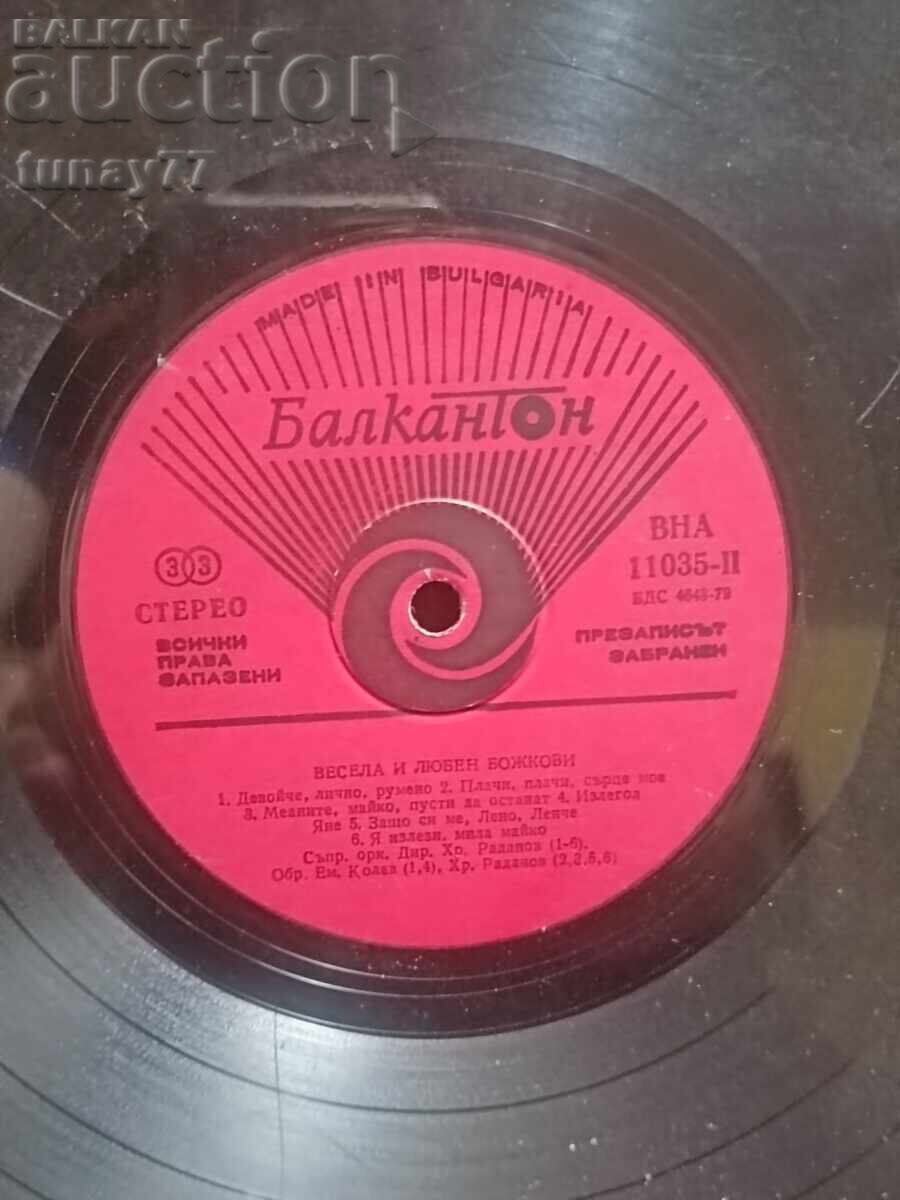 Σπάνιος δίσκος βινυλίου ρετρό