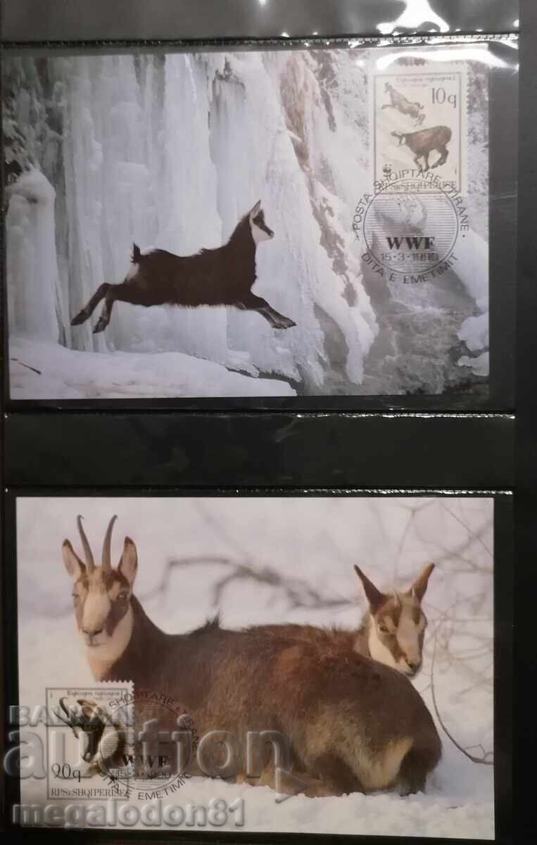 Albania - WWF capră neagră, cărți maximum cu preț € 2.00 | 3.91 BGN