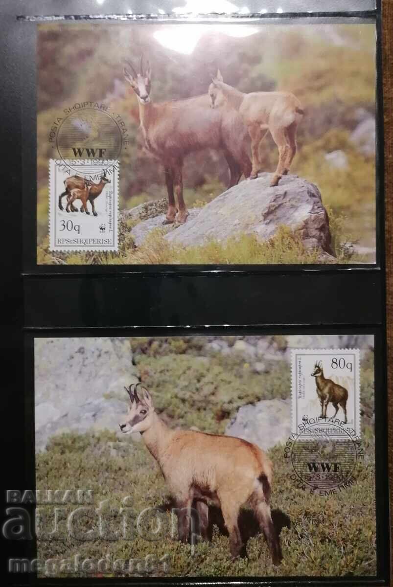 Albania - WWF capră neagră, cărți maximum
