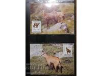 Albania - WWF capră neagră, cărți maximum