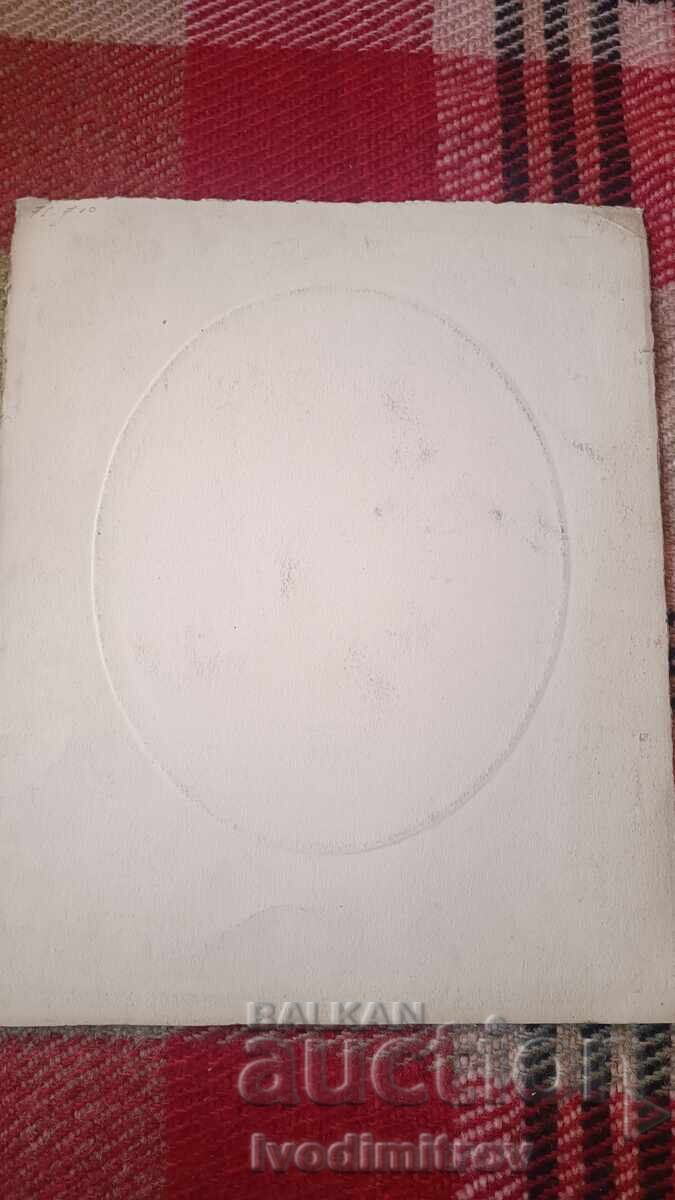 Licitație Foto Tanar Carton