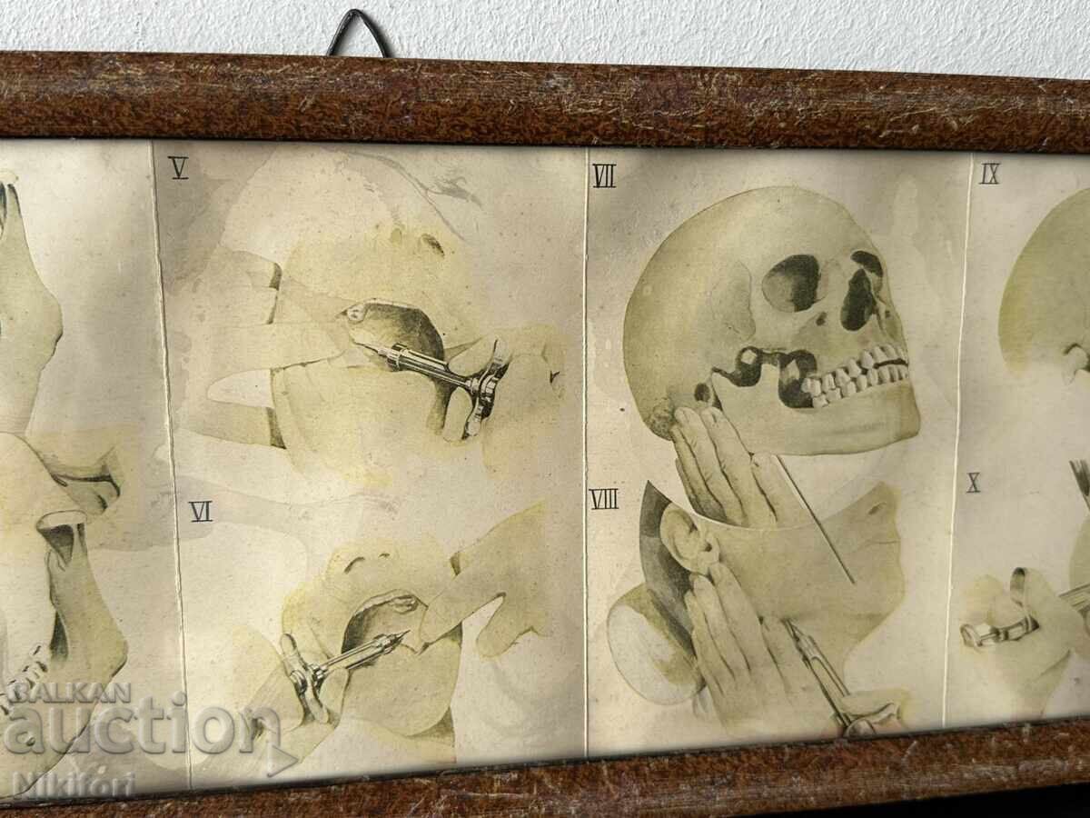 Δημοπρασία Ιατρικός Πίνακας Φυλλάδιο BAYER