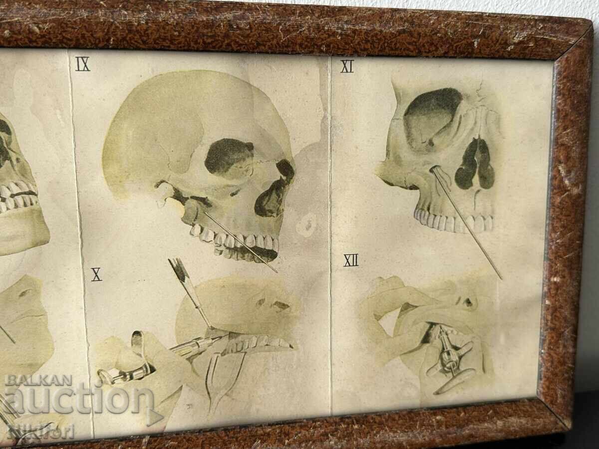 Παράδοση Ιατρικός Πίνακας Φυλλάδιο BAYER