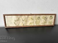 Ιατρικός Πίνακας Φυλλάδιο BAYER