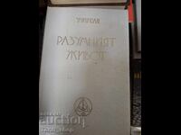 Viața rațională Maestrul