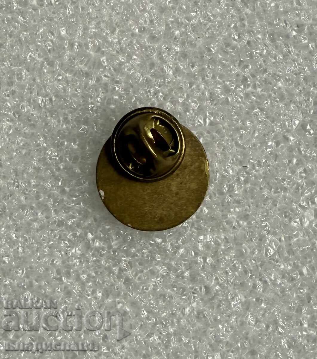 Κονκάρδα έμβλημα πόλης ΧΑΣΚΟΒΟ με τιμή € 13.00 | 25.43 BGN