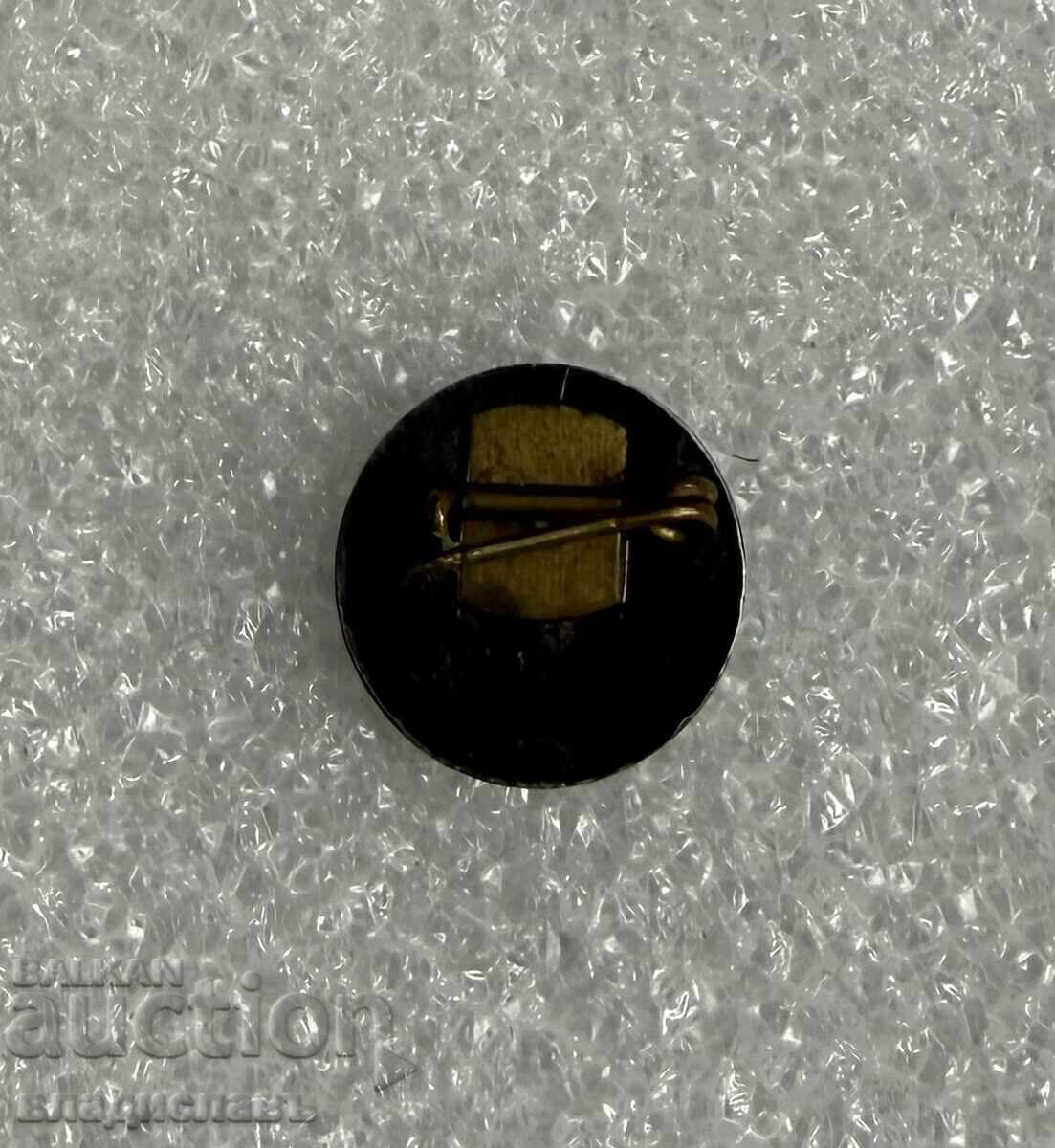 καρφίτσα έμβλημα πόλη ΧΙΣΑΡΙΑ με τιμή € 2.00 | 3.91 BGN