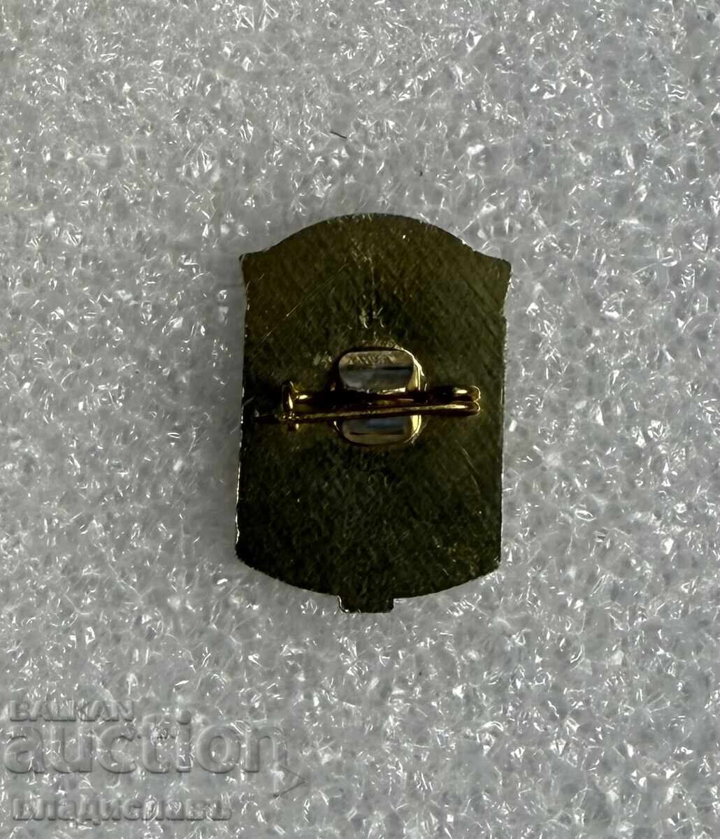 Κονκάρδα οικόσημο πόλης ΤΣΕΠΕΛΑΡΕ με τιμή € 5.00 | 9.78 BGN