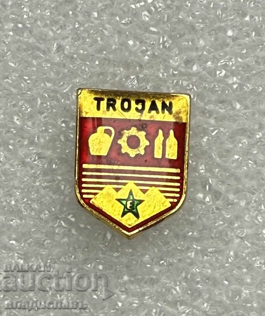 Κονκάρδα οικόσημο πόλης ΤΡΟΙΑΝ - Εσπεράντο