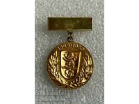 нагръден знак герб град 20 години КОЗЛОДУЙ