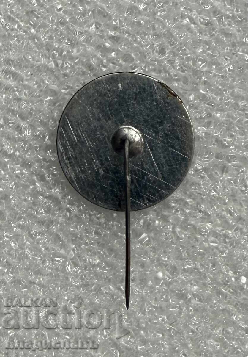 Κονκάρδα οικόσημο πόλης ΑΣΕΝΟΒΓΚΡΑΝΤ με τιμή € 6.30 | 12.32 BGN