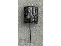 insignă stemă oraș ELHOVO