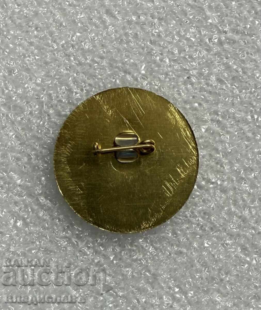 badge coat of arms city of SVOGE with price € 4.00 | 7.82 BGN