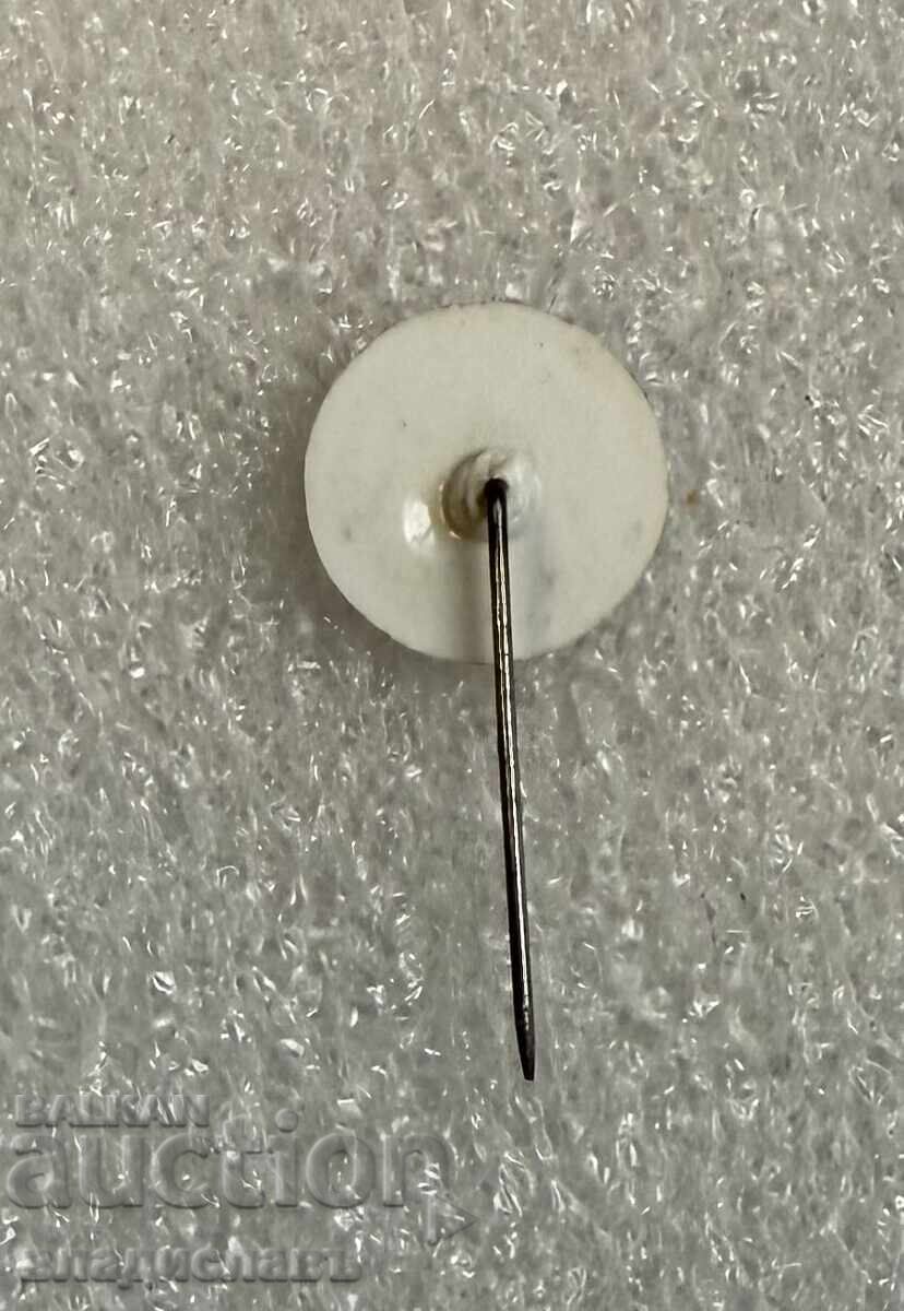 καρφίτσα έμβλημα πόλη ΦΙΛΙΠΠΟΥΠΟΛΗ με τιμή € 5.00 | 9.78 BGN