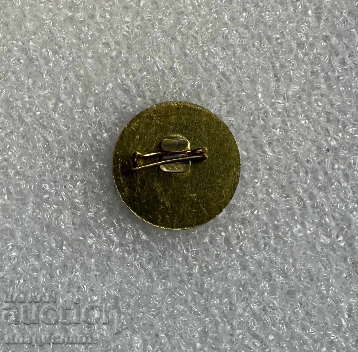 Κονκάρδα εθνόσημο πόλης ΠΑΒΛΙΚΕΝΙ με τιμή € 5.00 | 9.78 BGN