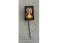 insignă stemă oraș DEVNYA