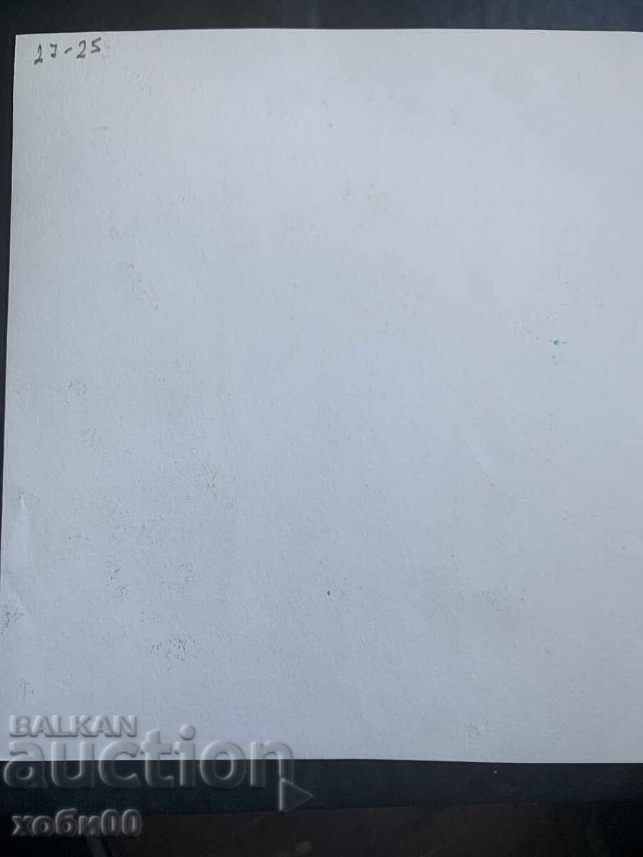 Auction  Drawing portrait of a girl