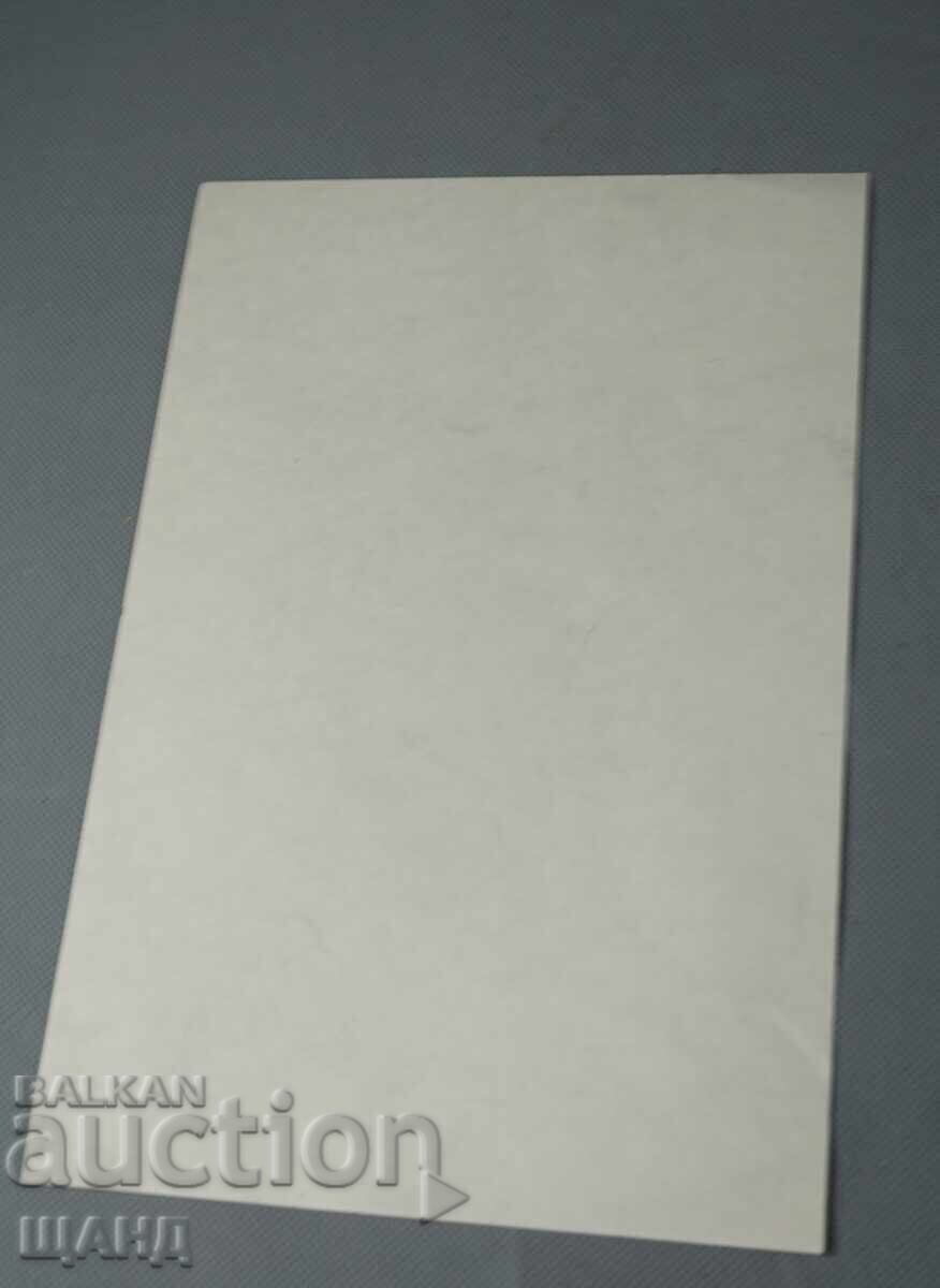 Παλαιό αριστουργηματικό σχέδιο, πίνακας με μολύβι με τιμή € 1.76 | 3.44 BGN