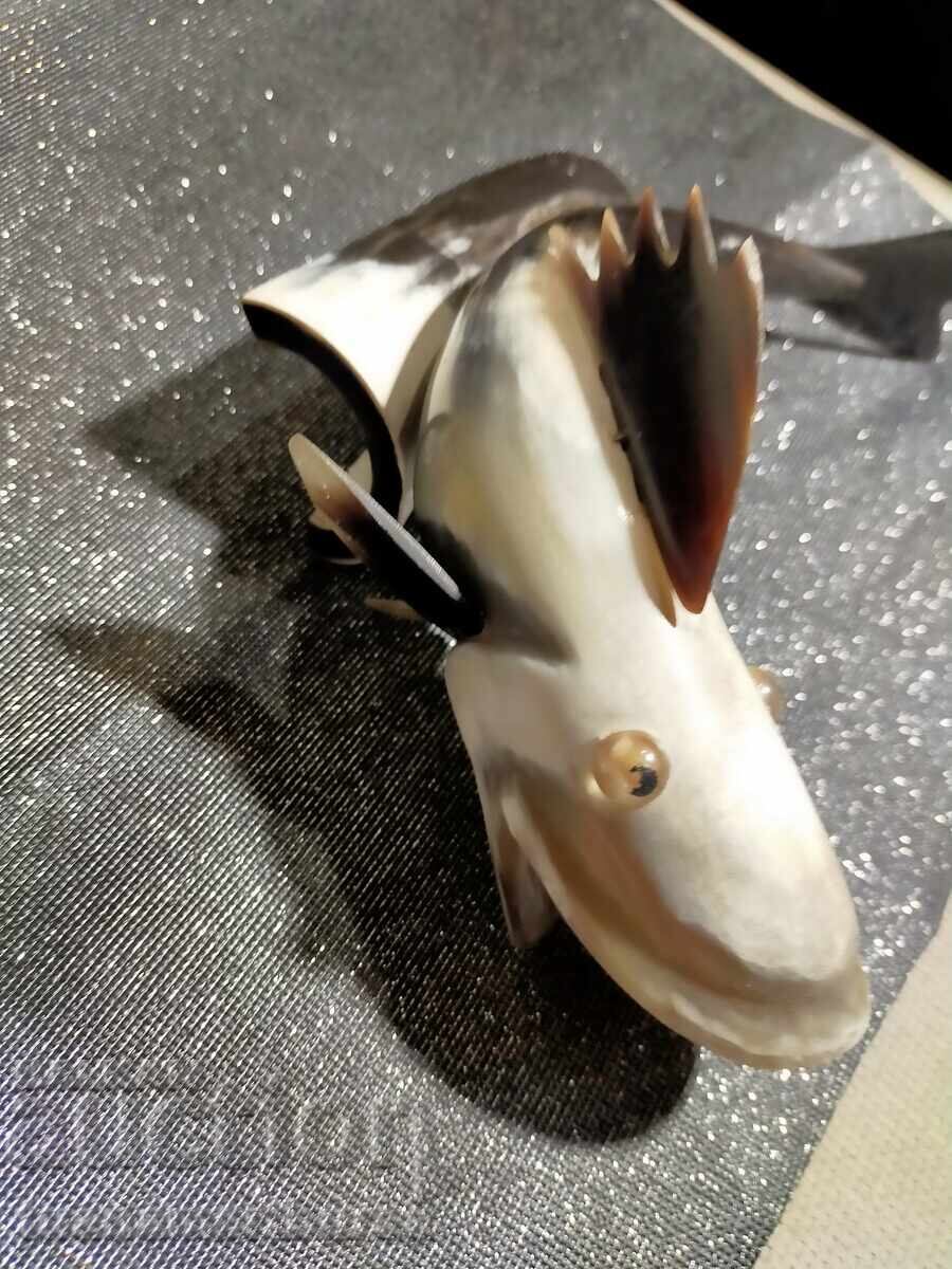 Διάφορα ψάρια - 6